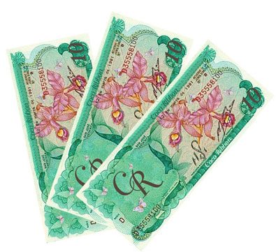 coco-ribbon-currency1