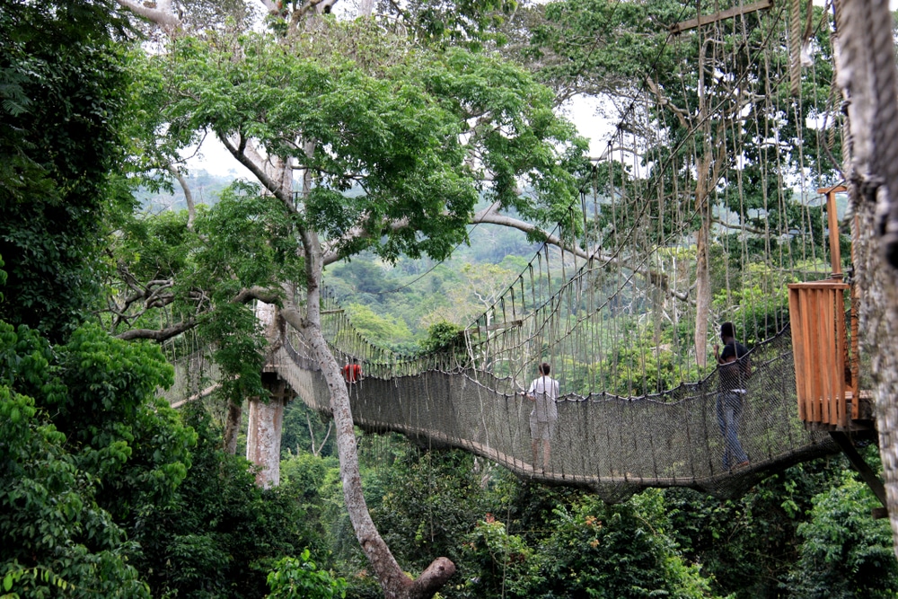 Kakum Canopy Walk Ghana